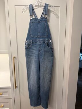 Evereve Medium Blue Denim Overalls
